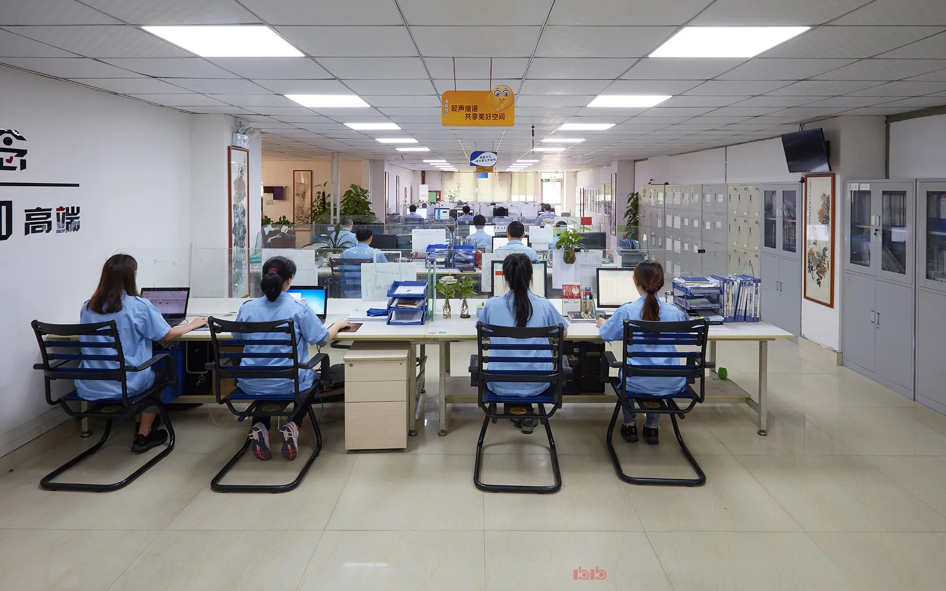 Shoulder Press Machine