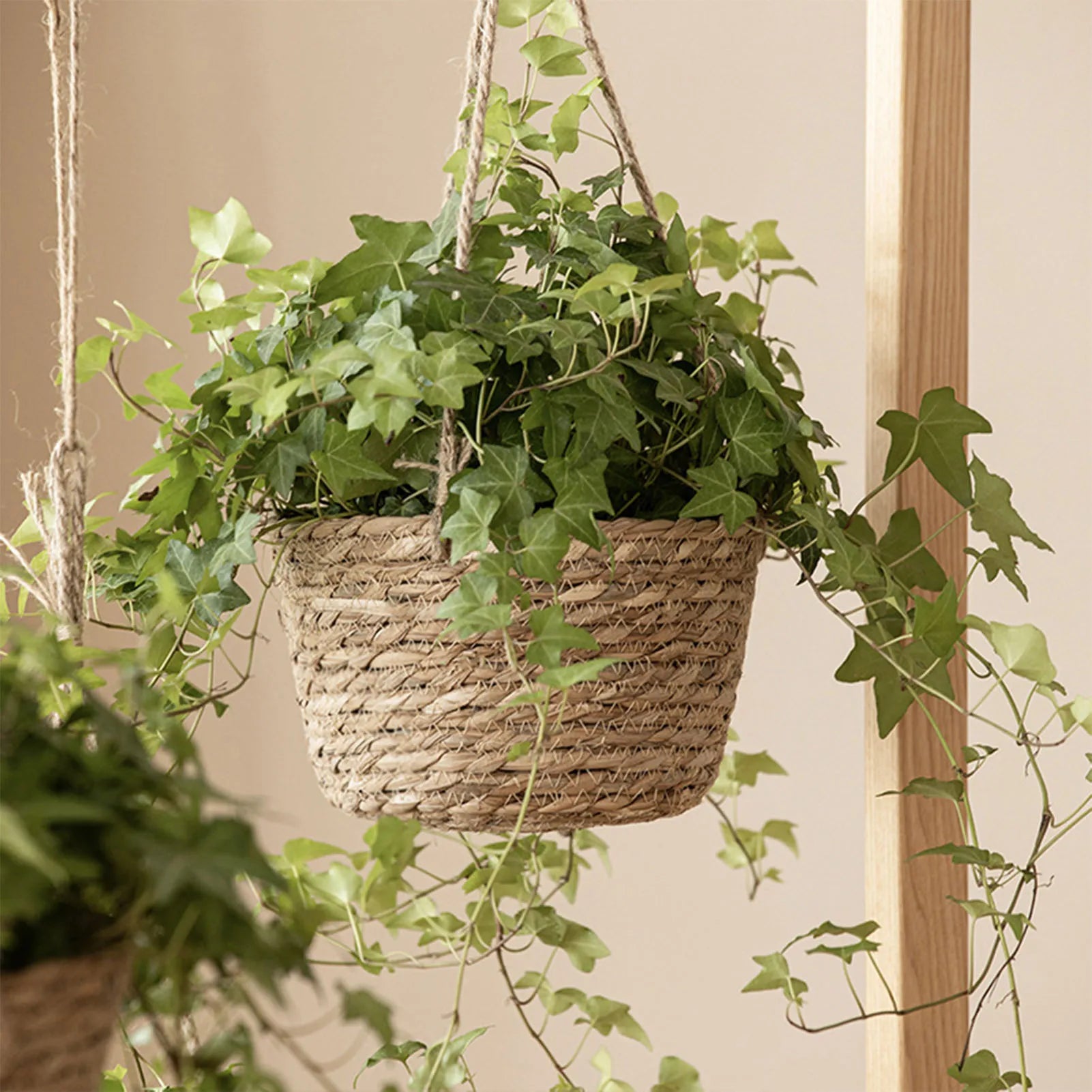Garden Hanging Planter