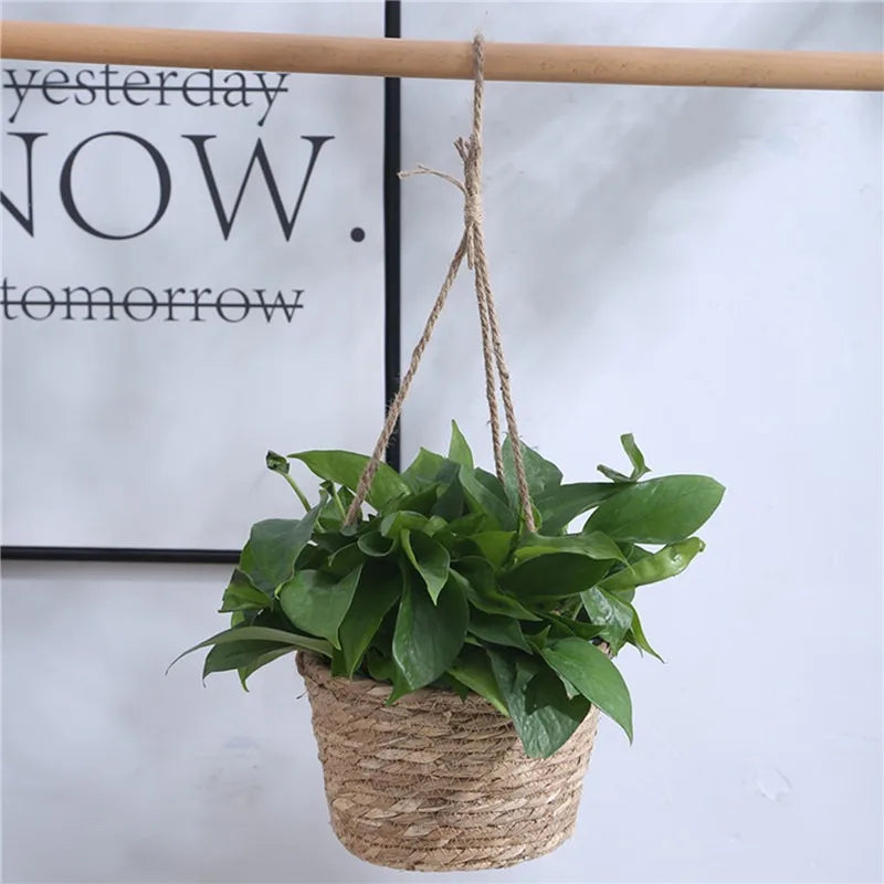 Garden Hanging Planter