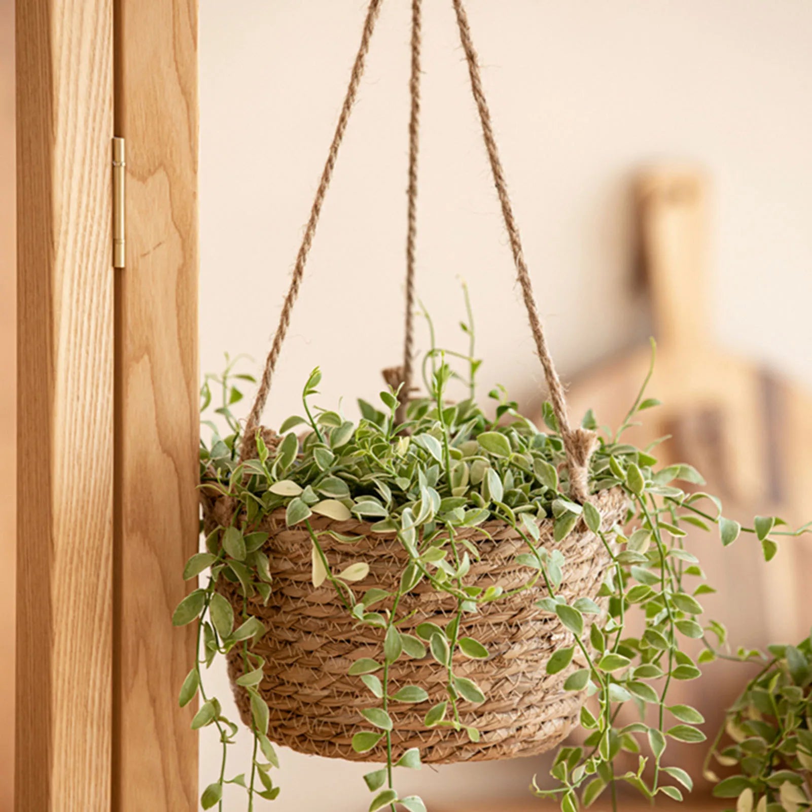 Garden Hanging Planter