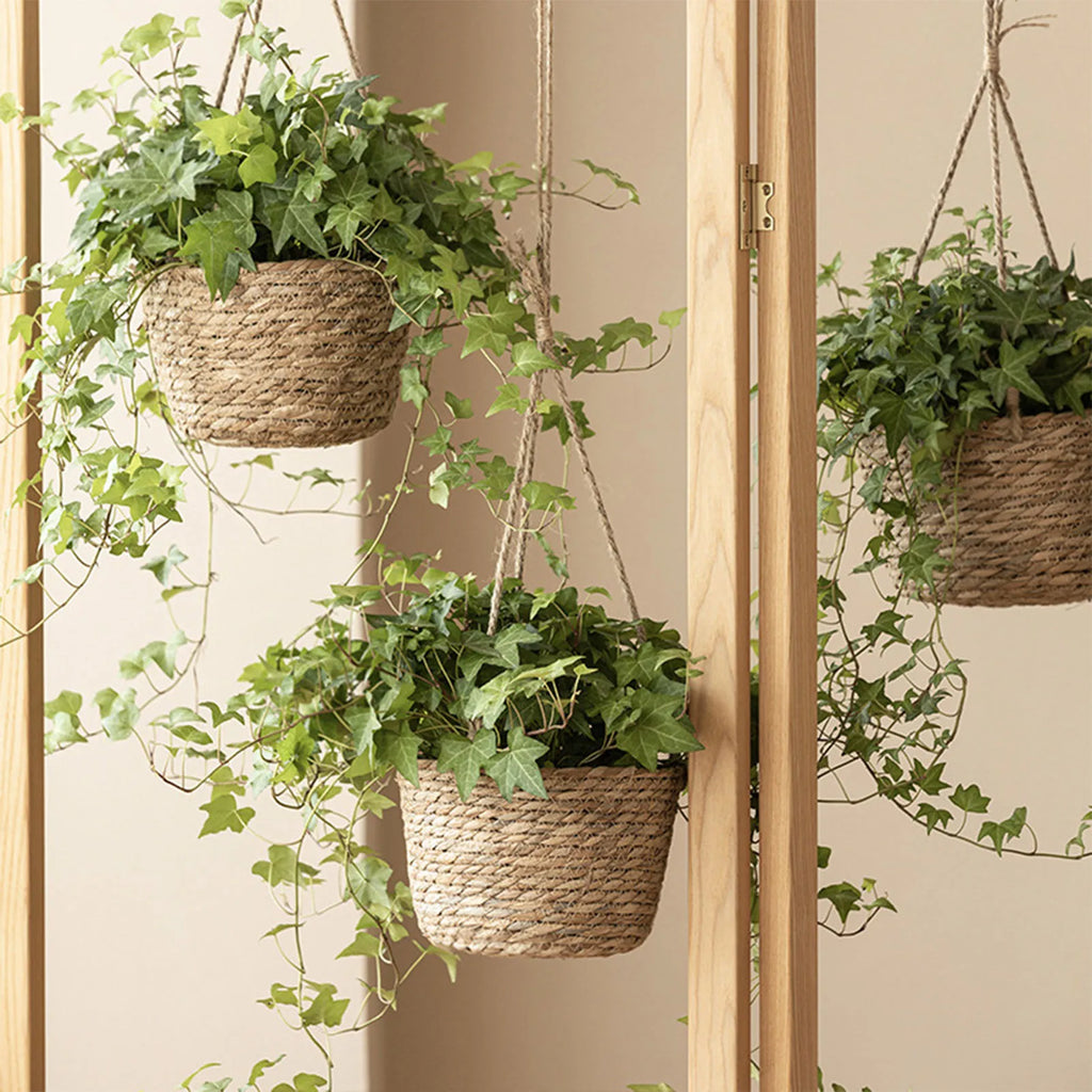 Garden Hanging Planter