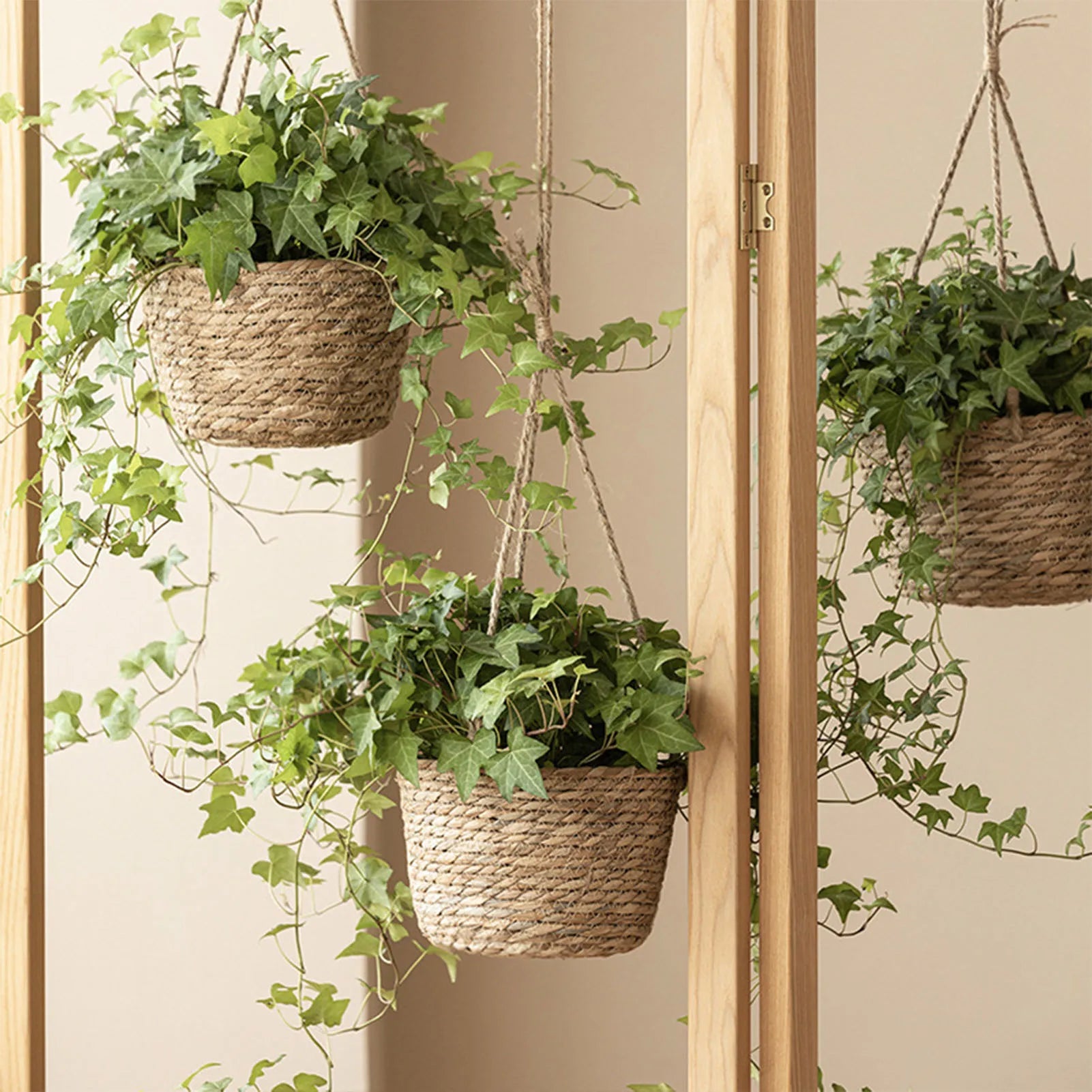Garden Hanging Planter