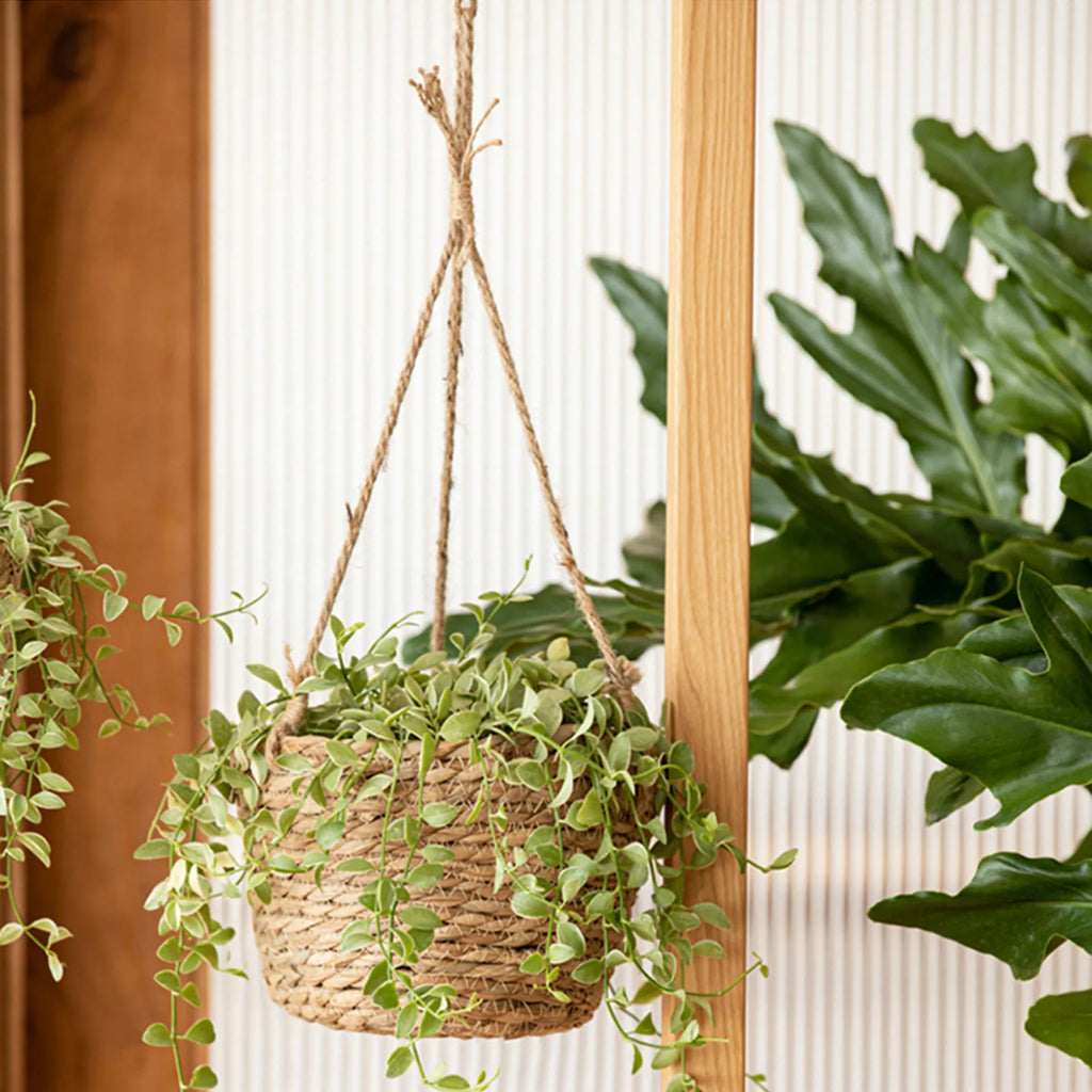 Garden Hanging Planter