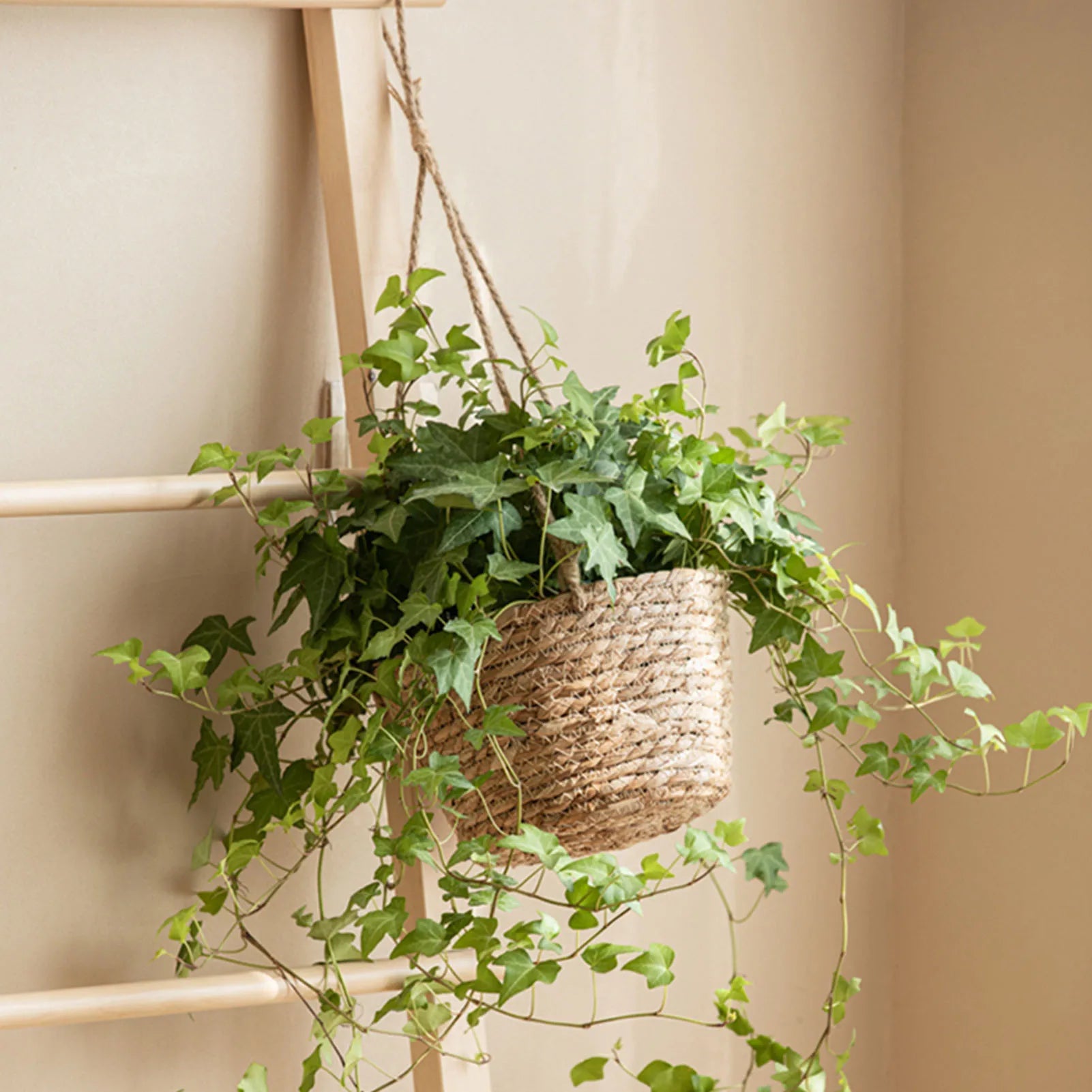 Garden Hanging Planter